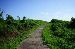 空に続く道