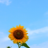 夏の思い出