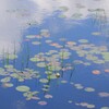 夏空を映して