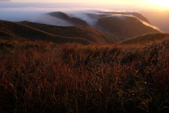 大観峰