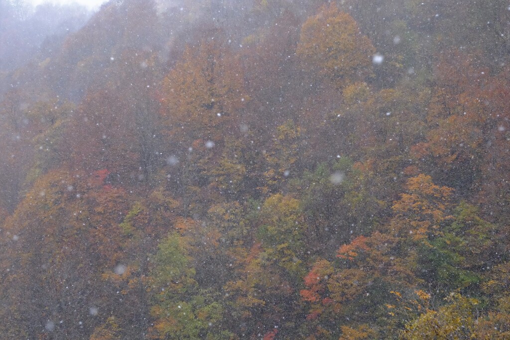 秋の吹雪