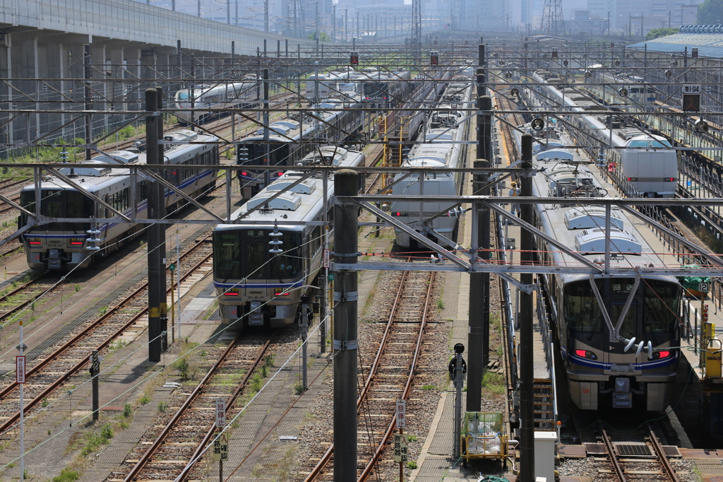 北陸線の電車たち