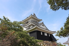 浜松城