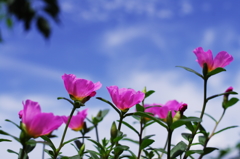 爽やかＤＡＹ