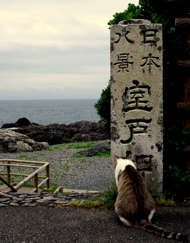 日本八景ですか。