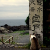 日本八景ですか。