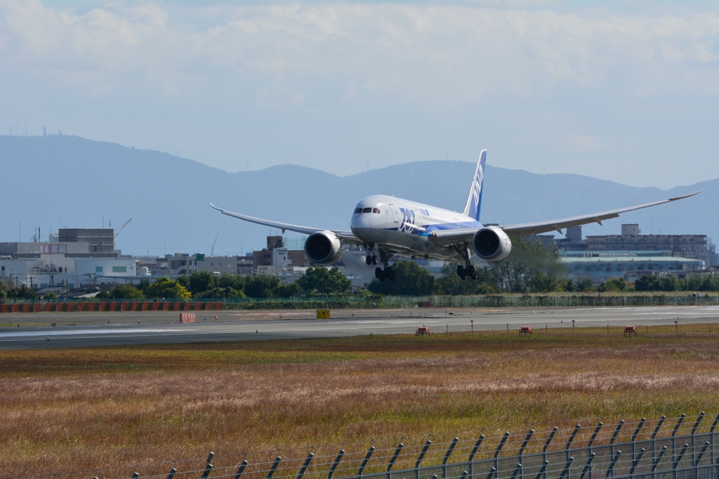 B787 着陸1