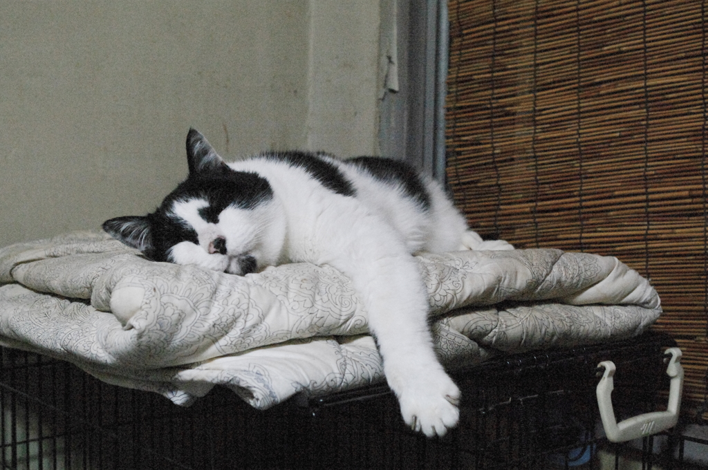 気持ちよくて指が広がっちゃうよ～IMGP4018