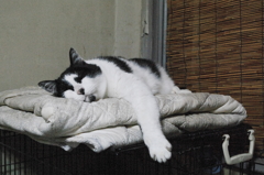 気持ちよくて指が広がっちゃうよ～IMGP4018