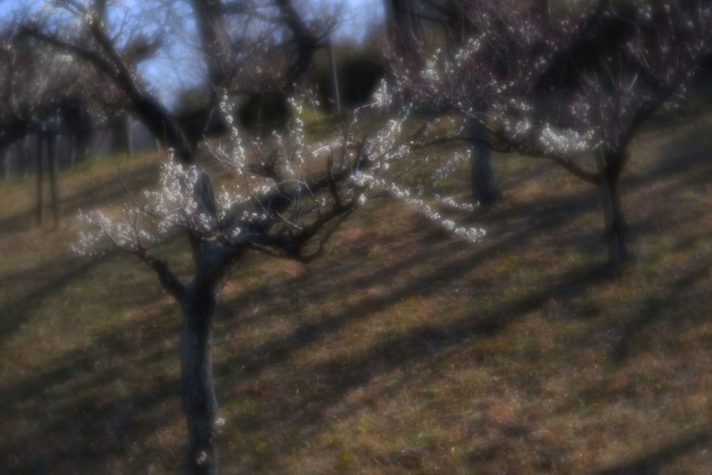 独り舞台　IMGP2084