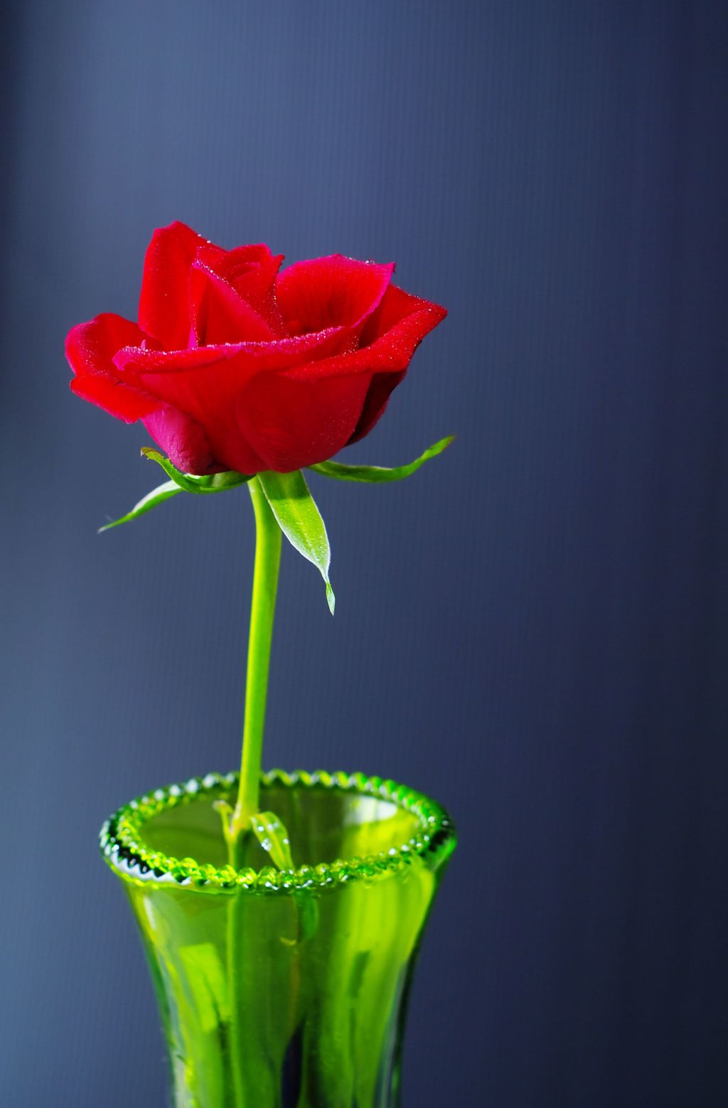 有終の美を飾る