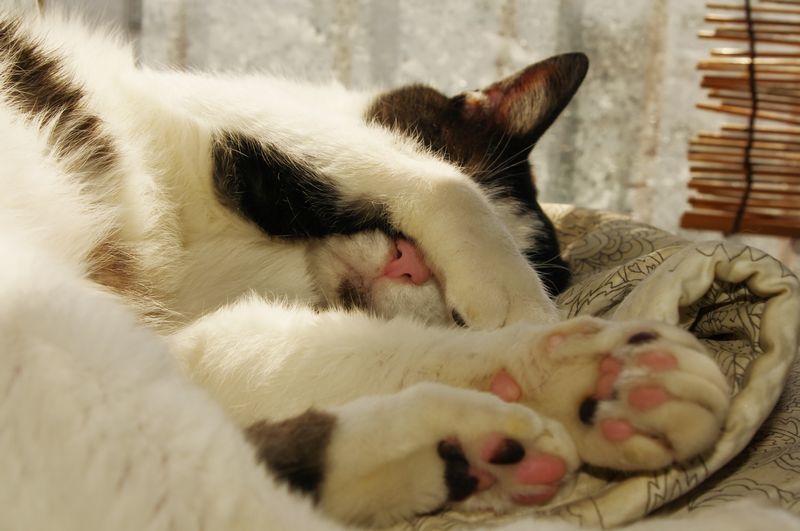 眩しいってんだよ～　ぷんぷん