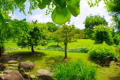 緑多き公園