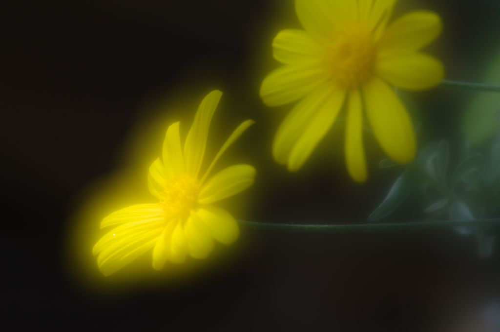 仲良し