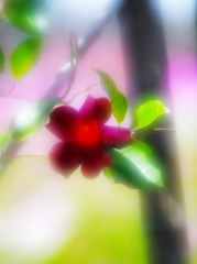 秋日に照らされて