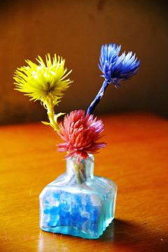 シルバーデイジー4　IMGP3895