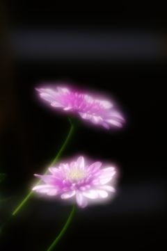 背比べ