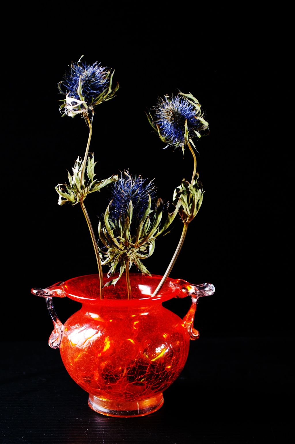 エリンジュームIMGP4030