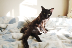 汚く撮ってプンプン　