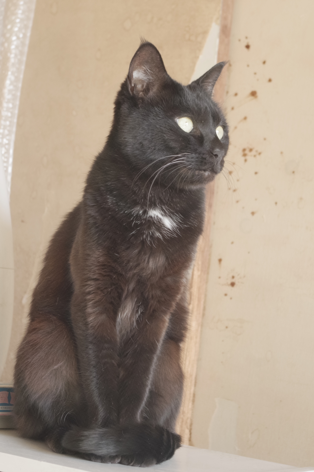 あっちむいてホイ