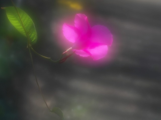重さにもめげず