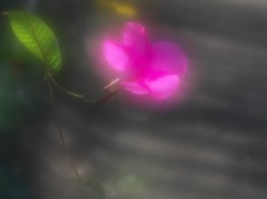 重さにもめげず