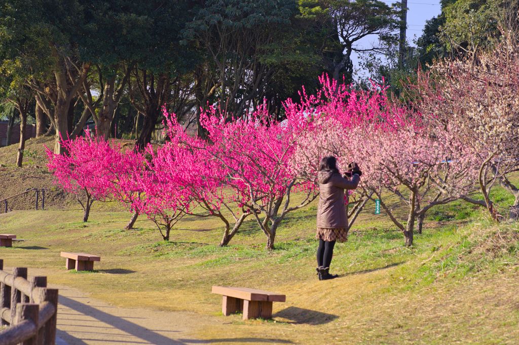 今様女子撮影IMGP0075