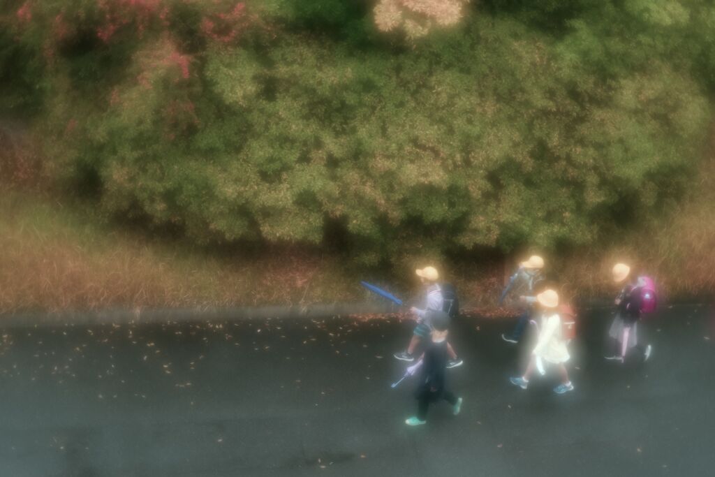 曇り日も楽し♪