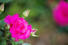 耐えた時を経て