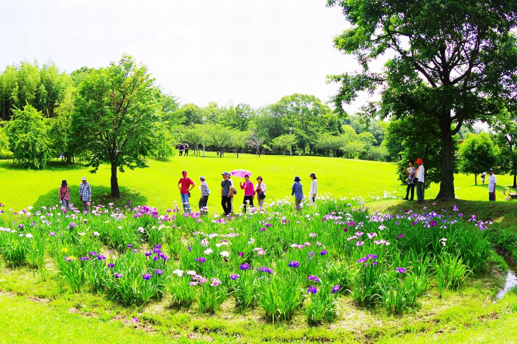 花を見る人涼む人
