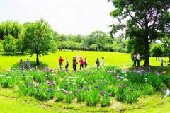 花を見る人涼む人