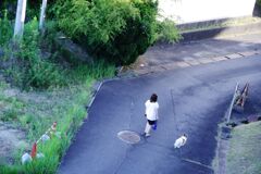 犬に連れられ汗かきタイム