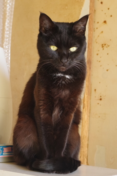 は～い撮りますよ