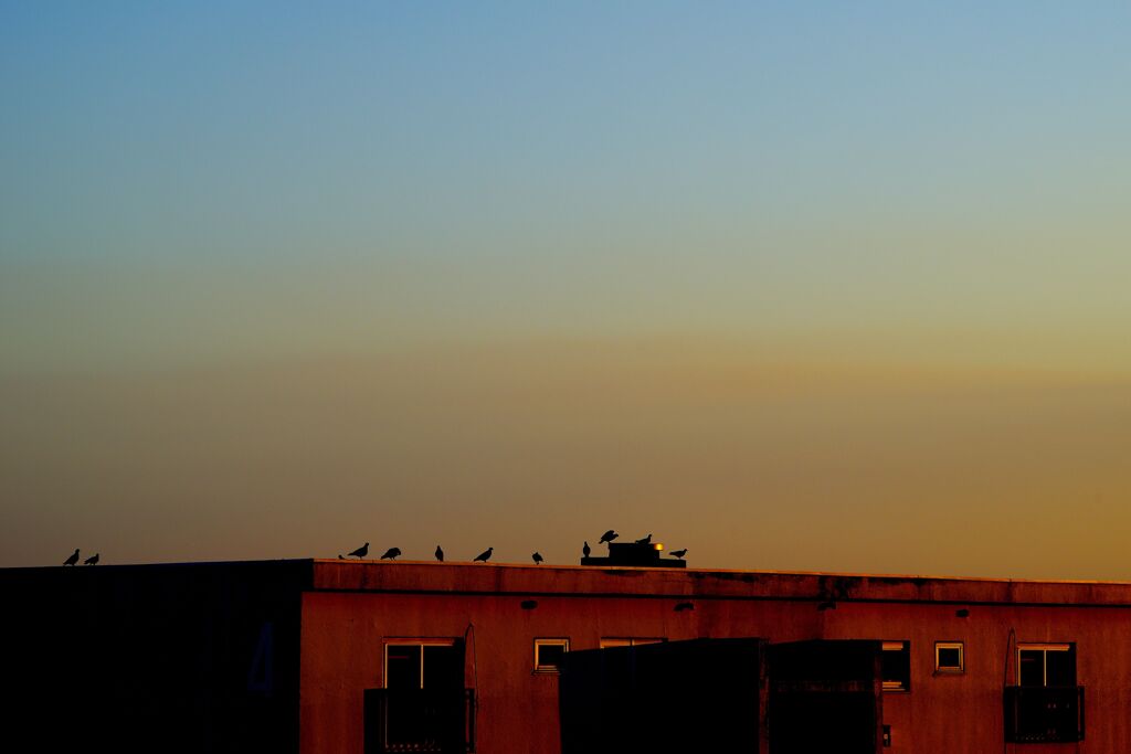 終業ミーティング