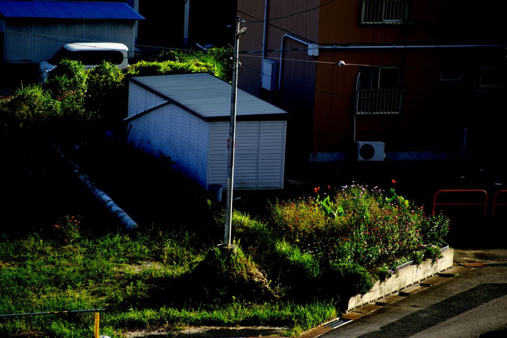 影が長くなる頃