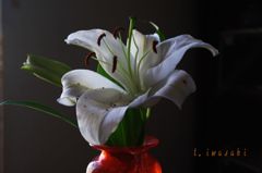 最後の悪あがき