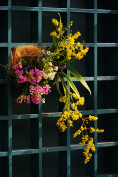 寄せ植え２ IMGP0054