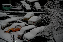 知多では大雪だ！