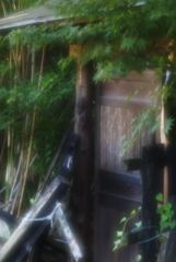 子供の頃の豪邸も・・・