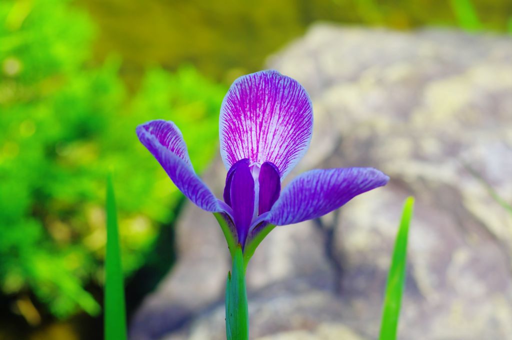 パッといきましょう(*^^)v