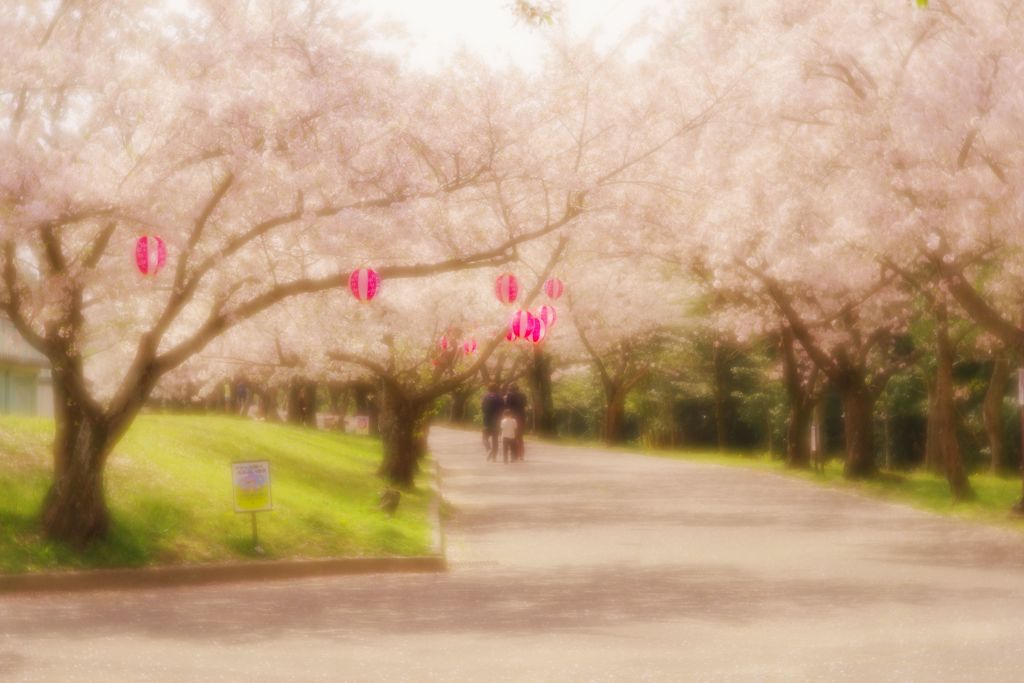 桜祭り