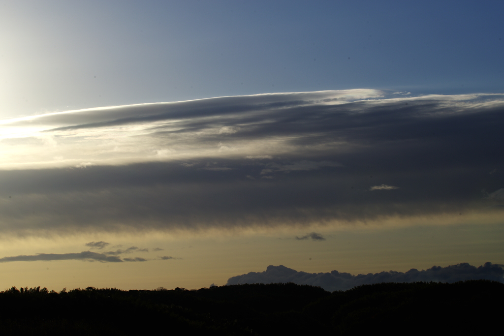 華麗なモノトーン3