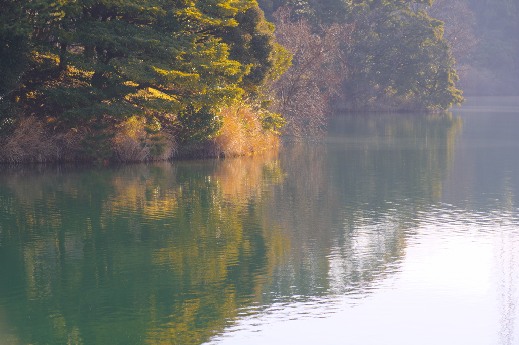 冬枯草も美しきかなIMGP0076