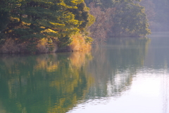 冬枯草も美しきかなIMGP0076