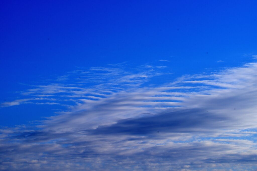 誰が描いた！？　