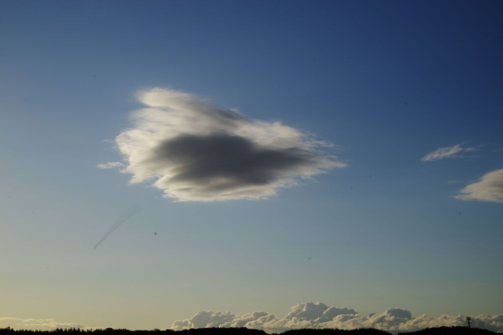 ビューティフルコンビネーション