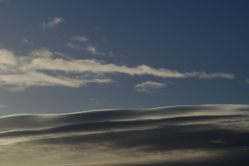 華麗なモノトーン