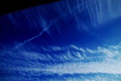 貼り合わせた写真4