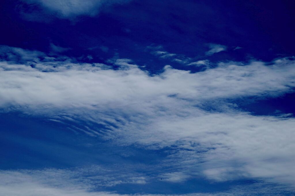 引き千切られる