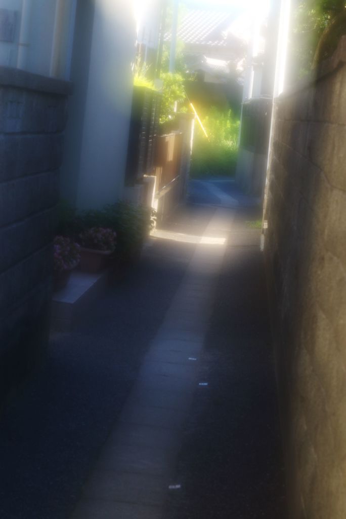 家へ帰る道